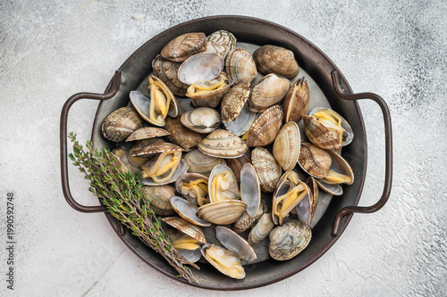Fotografie Steamed vongole mollusks in round pan on gray surface