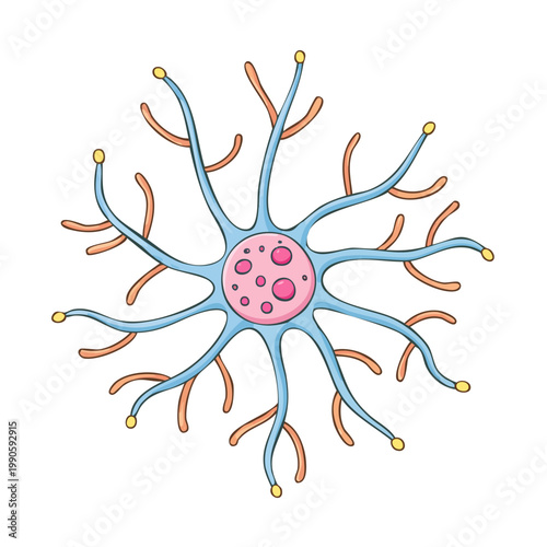 Stylized illustration of a neuron with dendrites and axon terminals showing neural connections and communication