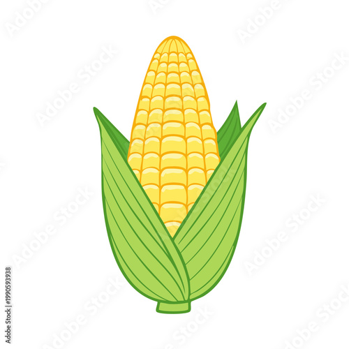 Fresh Yellow Corn Cob with Green Leaves Ready for Harvest