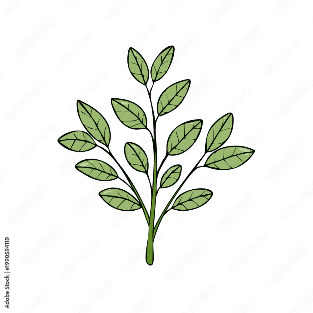 Obraz premium Delicate green leaves and stem illustration on a white background