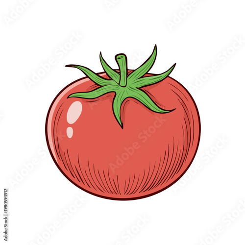 A simple hand-drawn illustration of a ripe red tomato with a green stem and leaves