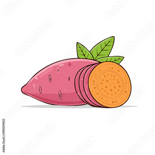 Sweet potato illustration showing a whole tuber and a cross section revealing its vibrant orange flesh and leafy green tops