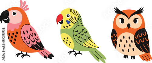 Vector Set of Colorful Cartoon Birds Including Parrot, Budgie, and Owl with Bright Feathers and Playful Expressions