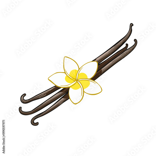 Delicate vanilla bean pods with a beautiful white and yellow blossom symbolizing natural flavor and aroma