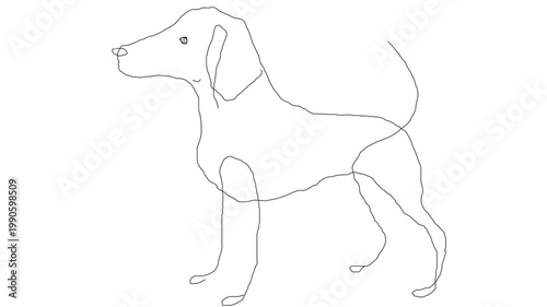 Dog The First in the kingdom of dogs