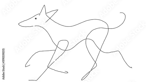 Dog The Tenth in the kingdom of dogs