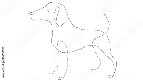 Dog The Second in the kingdom of dogs