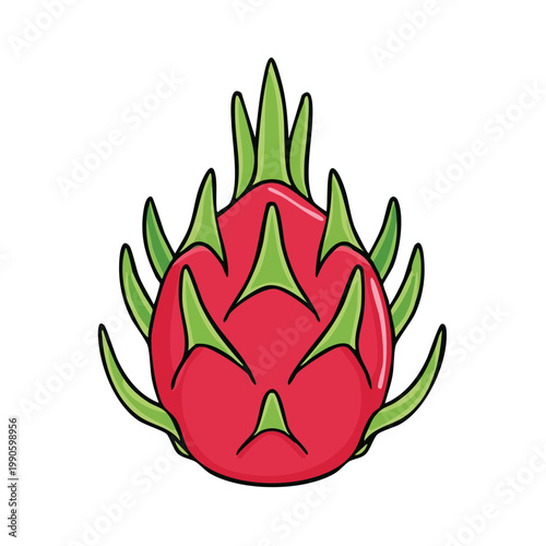 Vibrant dragon fruit illustration with green leaves and red skin