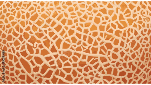 Close-up Melon Skin Texture Background - Natural Food Pattern for Design