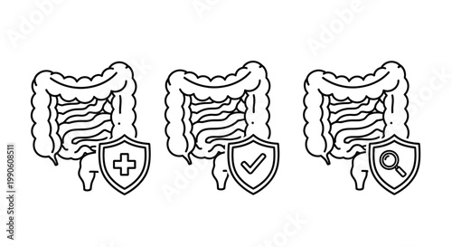Line art vector icons representing colon health, protection, and medical examination. Concepts for digestive wellness, gut care, and intestinal tract support
