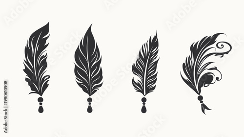 Four black feather illustrations on a white background, each with different shapes and details