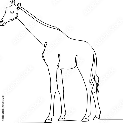Detailed drawing of a giraffe standing.