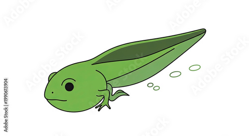 Green tadpole swimming in water.