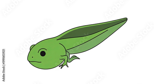 Green Tadpole Amphibian Aquatic Life Form.