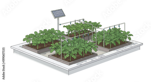 Solar powered hydroponic garden with lush green plants growing
