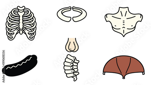 Minimalist Icon Set: Human Anatomy Elements, Sausage, Tent, and Nose Vector Illustrations