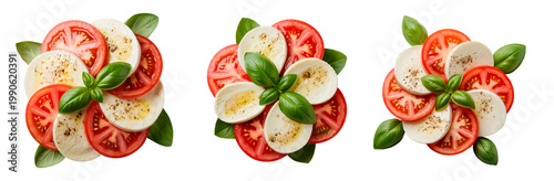 Caprese salad set with mozzarella tomato and basil isolated on transparent background