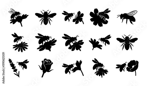 Black honey bee silhouettes and floral icons set, 15 vector bumblebee and flower elements, garden insect and blossom graphics for nature branding