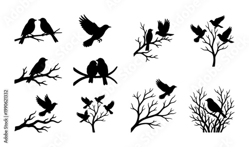 Black bird silhouette collection, set of 10 vector illustrations of birds on tree branches, flying songbirds and perched crows in nature