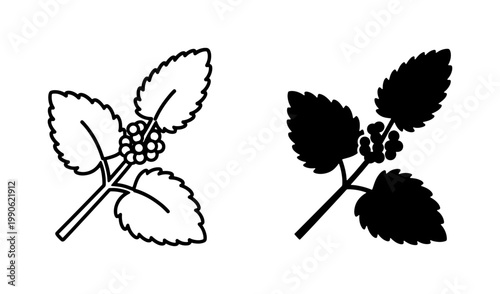 Nettle leaf outline and silhouette vector icons