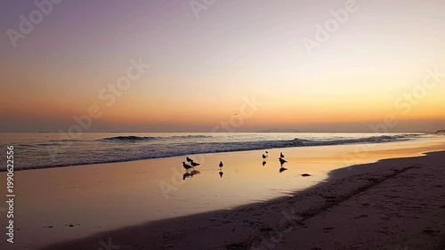 Sunset on Al Haffa beach with wader birds in Salalah, Oman