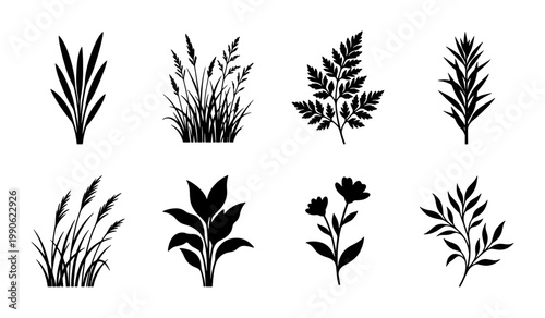 Black botanical silhouettes of wild grass and meadow plants, set of 8 floral vector elements, minimalist garden foliage icons for nature branding