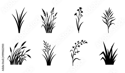 Black grass silhouette set of 8 vector icons, wild meadow plants and field weeds, botanical floral elements for landscape design and nature branding