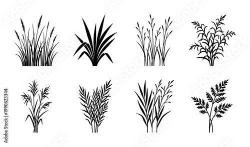 Black grass silhouette set of 8 vector icons, wild meadow plants and field weeds, botanical reed and marsh grass tufts for landscape design