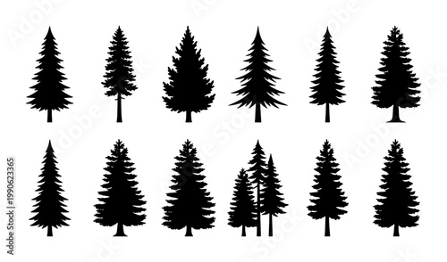 Pine tree silhouettes collection, 12 evergreen conifer forest elements, black fir and spruce timber vector set for outdoor adventure branding
