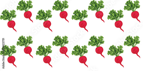 fresh vegetable seamless pattern with radish minimal white backdrop