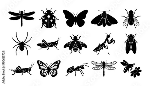 Black insect silhouettes collection, 15 bug icons set including butterfly and dragonfly, minimalist nature vector elements for educational design