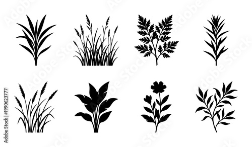 Black botanical silhouettes set, 8 floral plant and grass vector icons, minimalist garden foliage elements for nature branding and logo design