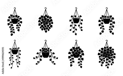 Minimalist hanging plant silhouettes, set of 8 black vector indoor houseplants in pots, decorative trailing ivy and vine foliage icons for home decor