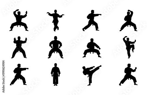 Martial arts silhouette collection, 12 karate and kung fu fighter vector icons, black combat sport poses on white background