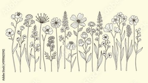 Diverse collection of detailed botanical wildflower illustrations in black and white