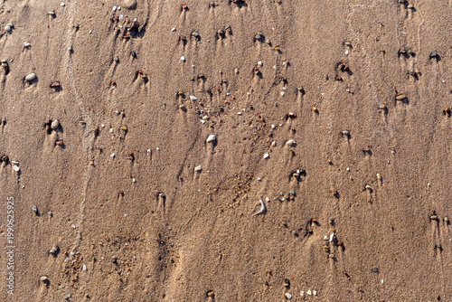 Natural beach sand texture featuring tiny pebbles, shells, and water erosion patterns. A minimalist, organic background for coastal and summer-themed designs.