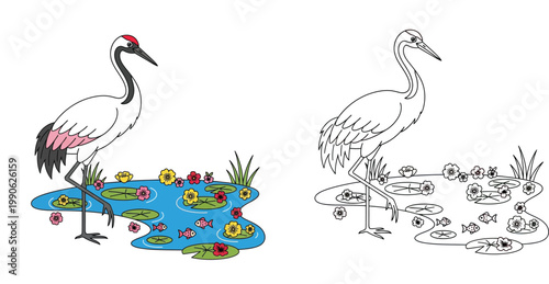 Cute crane bird standing in a pond with water lilies and fish, colorful and black and white line art versions for kids' coloring book.