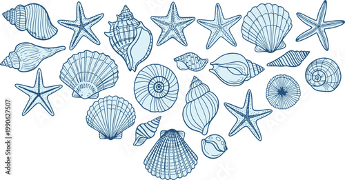Diverse collection of intricately detailed seashells and starfish illustrations