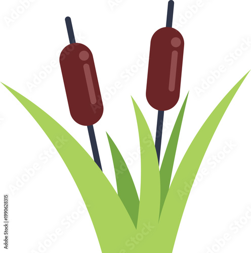 Cattail plants growing in a wetland environment with green grass