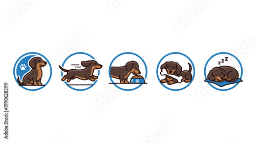 Dachshund dog cartoon icons illustrating daily pet activities and life cycle, including sitting, running, eating, playing with a bone, and sleeping peacefully.