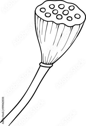 Hand-drawn lotus flowers , black and white vector illustration in linear style, isolated on white background. Botanical floral collection for coloring books, wedding invitations, and zen design.