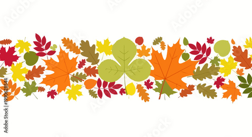 Autumn leaves horizontal border vector, colorful fall foliage frame, decorative seasonal maple and oak leaf banner, flat botanical nature background