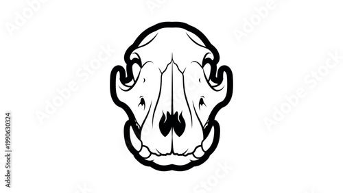 A detailed illustration of a wild boar skull on a plain background.