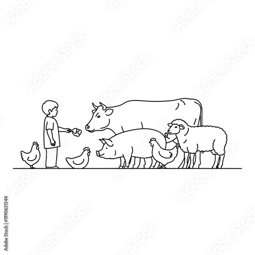 Man feeding farm animals cow sheep.
