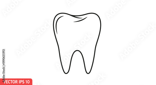 Simple outline of a human tooth against a white background
