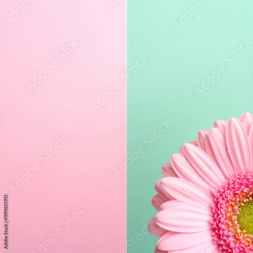 A vibrant composition featuring a delicate pink daisy juxtaposed against a split background of soft pink and tranquil turquoise, creating a visually appealing and modern aesthetic.