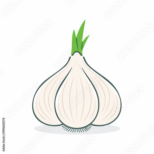 Illustration of a single garlic bulb with green sprouts