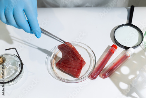 Obraz na płótnie Scientist using tweezers to examine lab-grown meat in petri dish