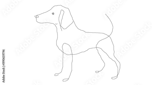 Dog The Fourth in the kingdom of dogs