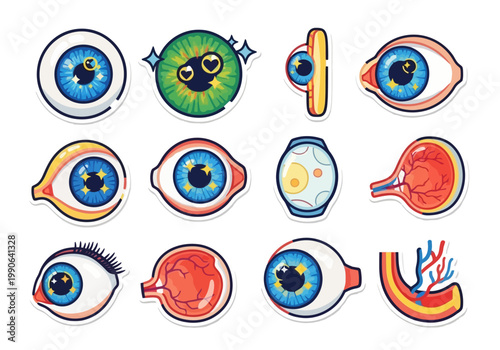 Colorful cartoon human eye illustrations.